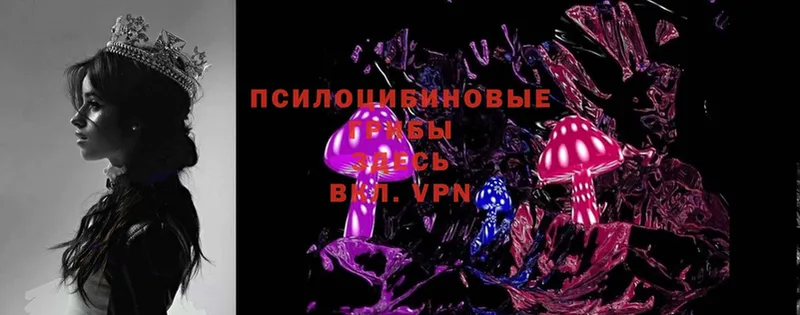 Галлюциногенные грибы MAGIC MUSHROOMS  Агидель 